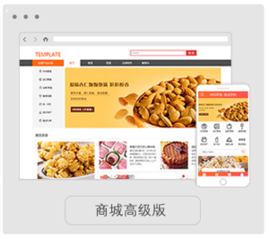 商城高级版（标准）